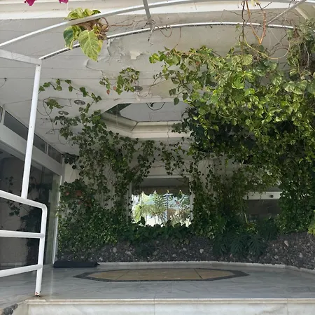 Island Paradise At Park Σαν Μιγκέλ ντε Αμπόνα