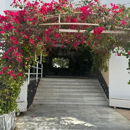 Island Paradise At Park San Miguel de Abona
