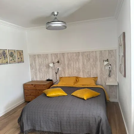 Island Paradise At Park Apartment